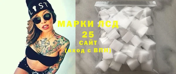 стаф Кулебаки