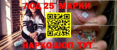 стаф Гай