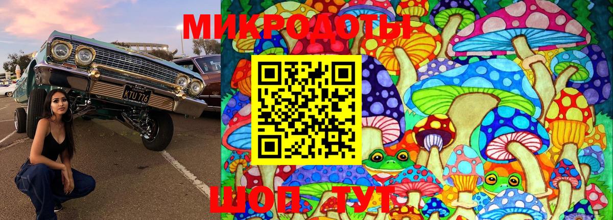 Клинцы  Псилоцибиновые грибы прущие грибы  Вход с VPN 
